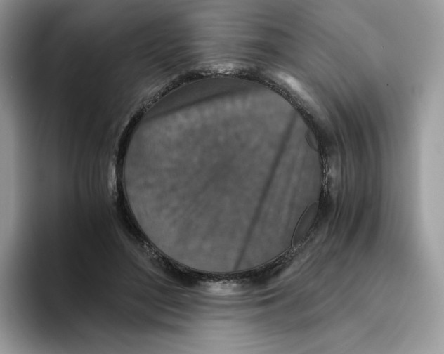X0000093530500200711091800