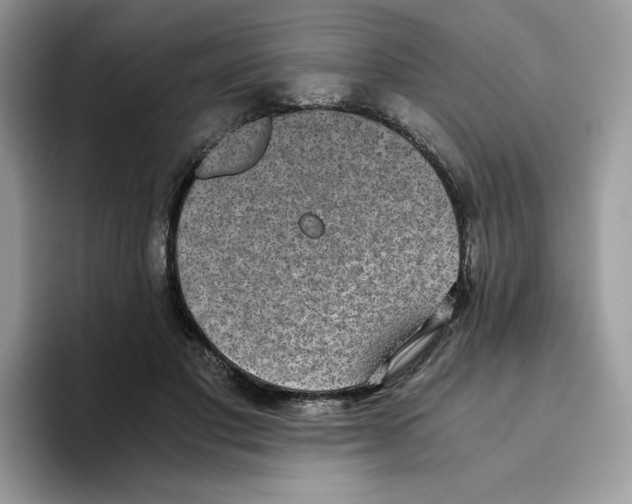 X0000093530501200711091800
