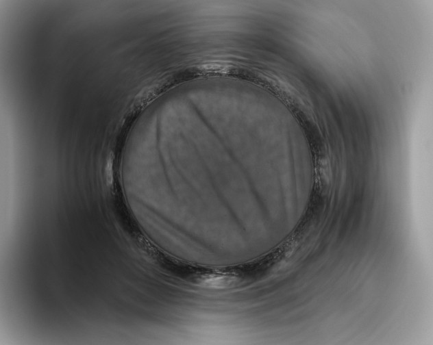 X0000093530504200711091800
