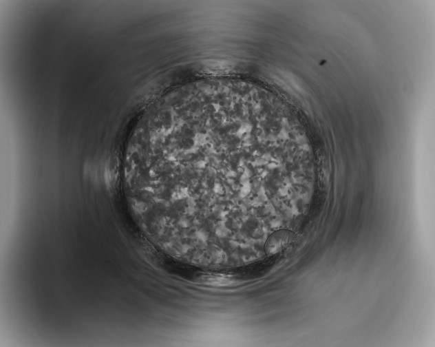 X0000093530507200711091800