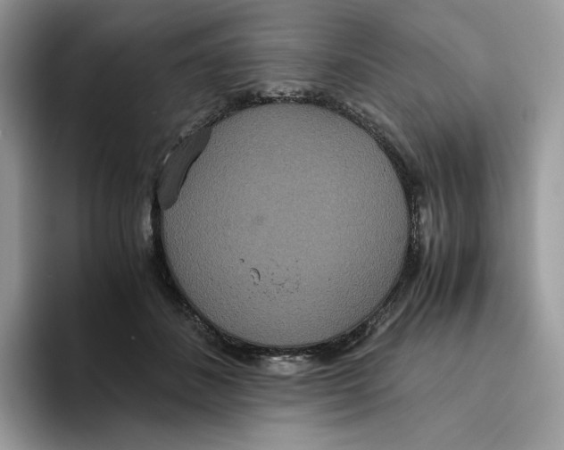 X0000093530508200711091800