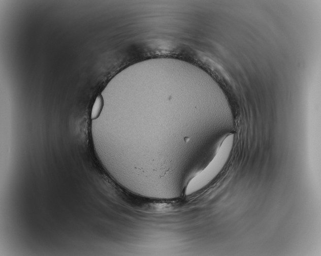 X0000093530509200711091800