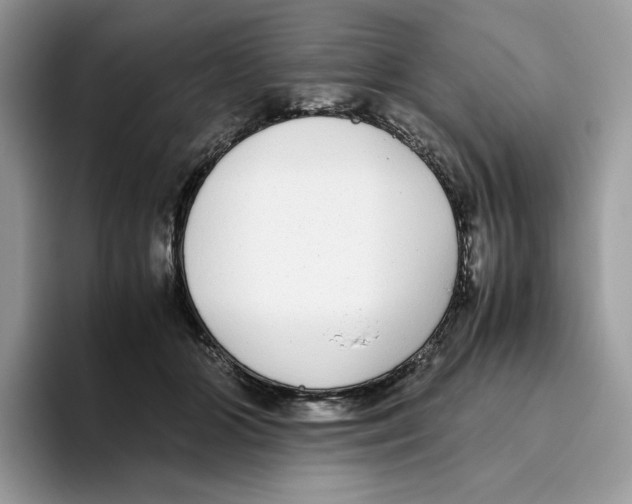X0000093530510200711091800