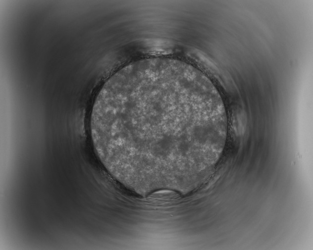 X0000093530512200711091800