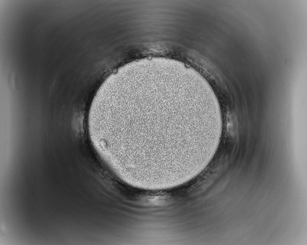 X0000093530514200711091800