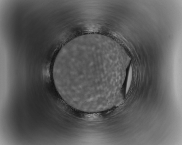 X0000093530516200711091800