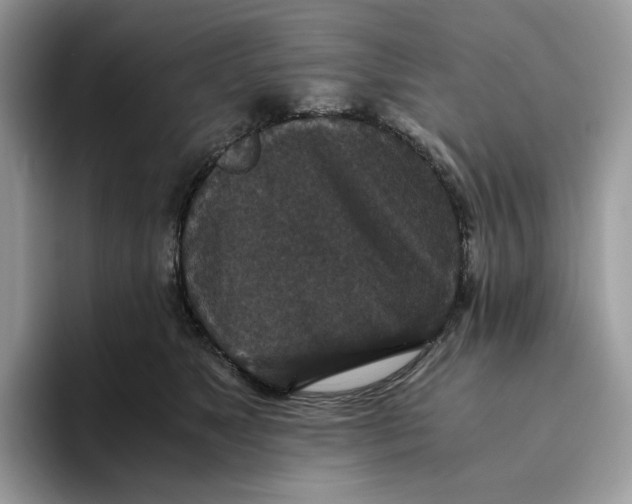 X0000093530517200711091800