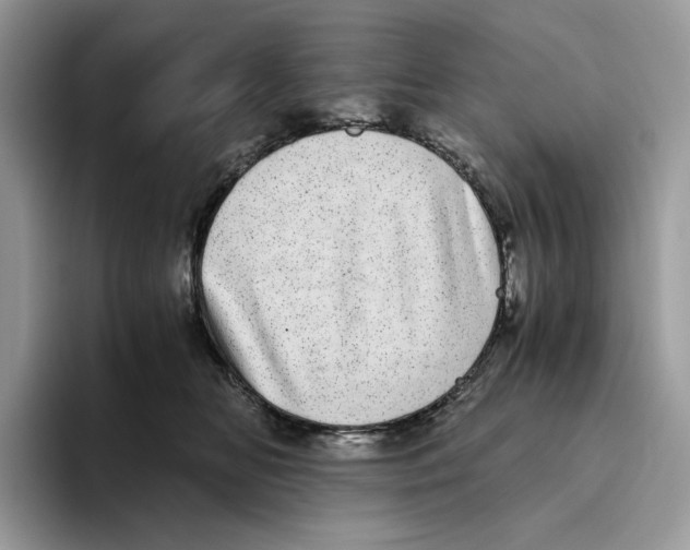 X0000093530518200711091800