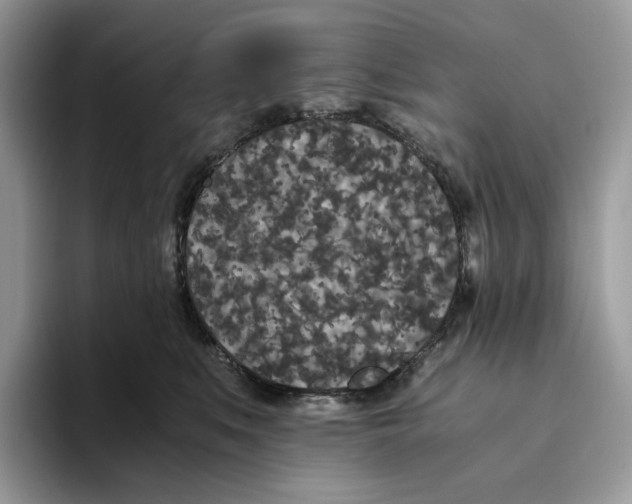 X0000093530519200711091800