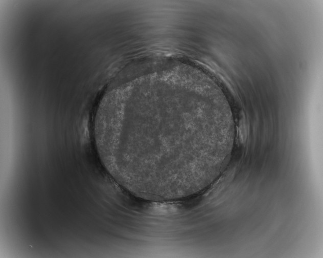X0000093530520200711091800