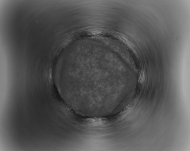 X0000093530524200711091800