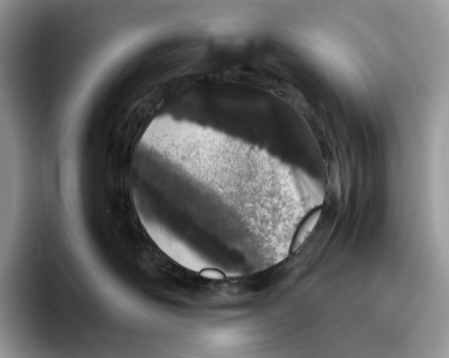 X0000093530526200711091800