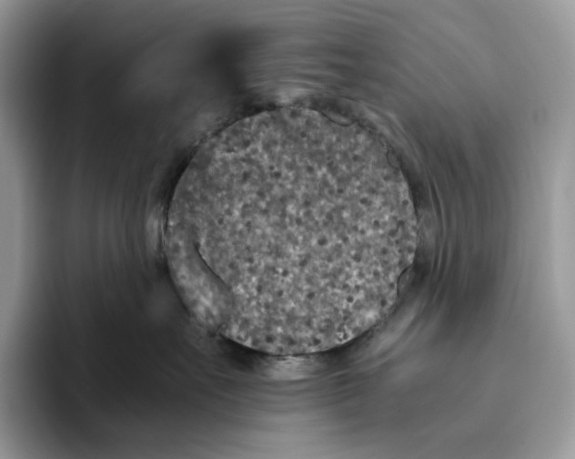 X0000093530527200711091800