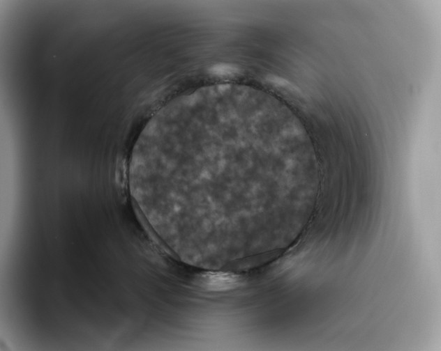 X0000093530528200711091800