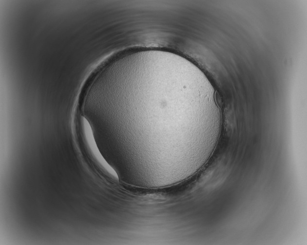 X0000093530536200711091759