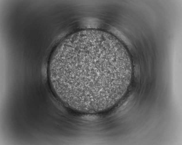 X0000093530537200711091759