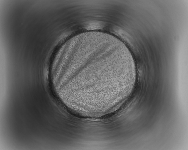 X0000093530539200711091759