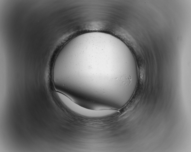 X0000093530540200711091759