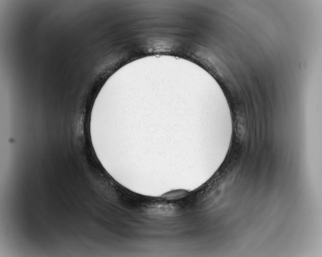 X0000093530543200711091759