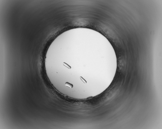 X0000093530544200711091759
