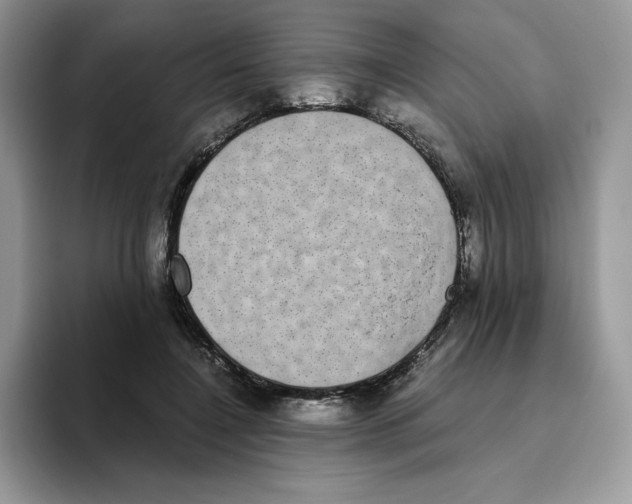 X0000093530548200711091759