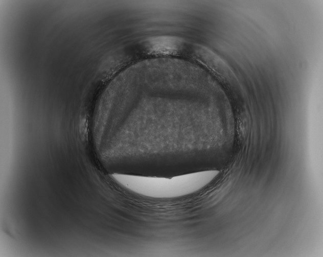 X0000093530551200711091800