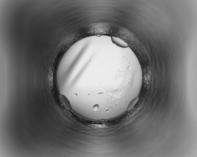 X0000093530552200711091800