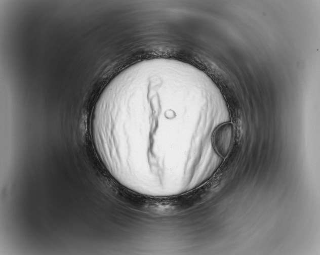 X0000093530554200711091800