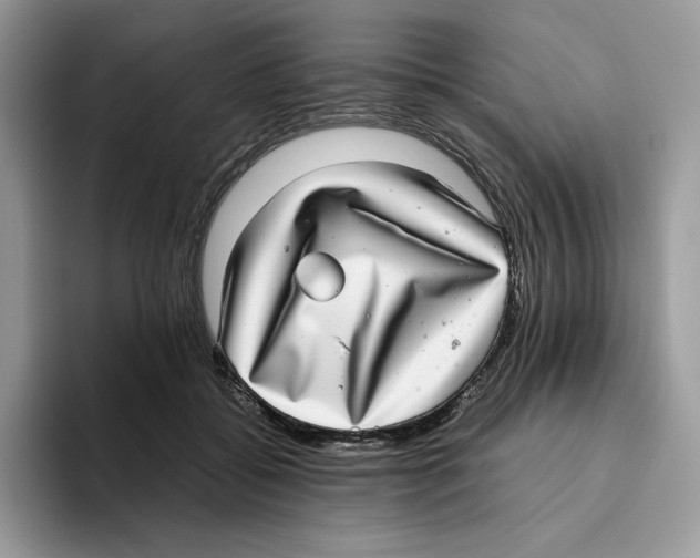 X0000093530556200711091800