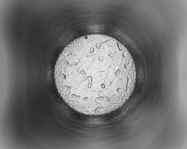 X0000093530557200711091800