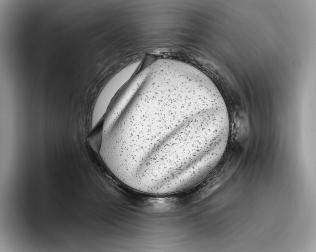 X0000093530558200711091800