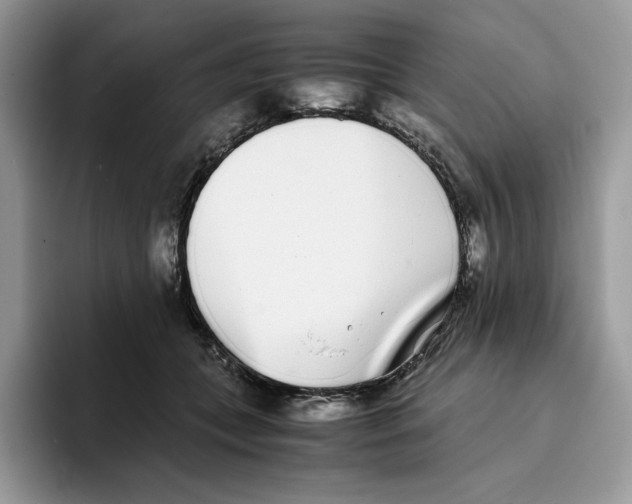 X0000093530559200711091800