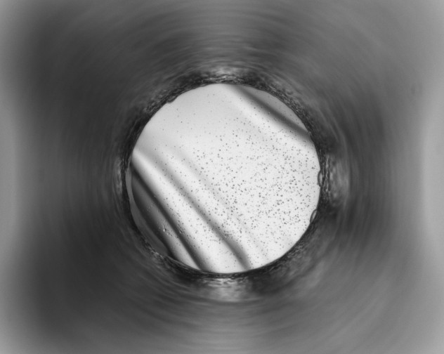 X0000093530562200711091800