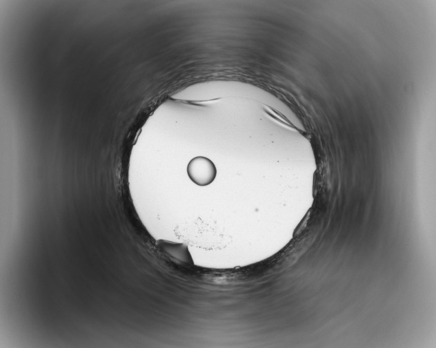 X0000093530564200711091800