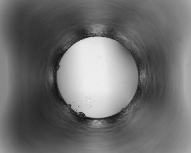 X0000093530566200711091800