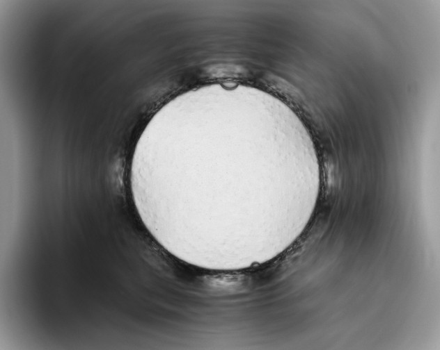 X0000093530567200711091800