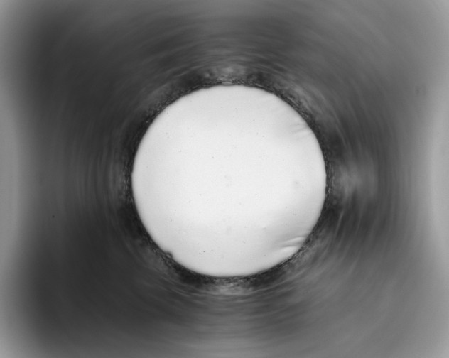 X0000093530569200711091800