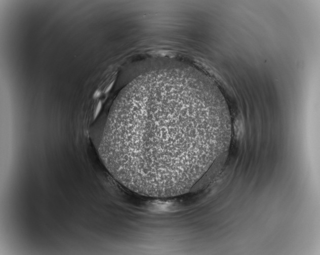 X0000093530570200711091800