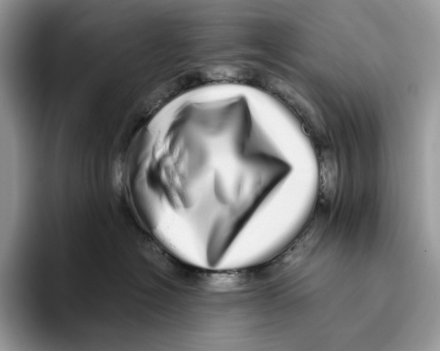 X0000093530574200711091800