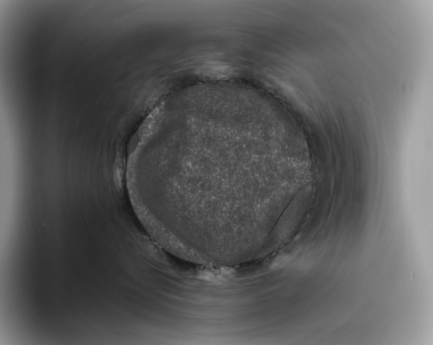 X0000093530576200711091800