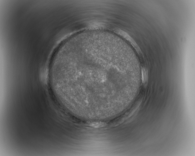 X0000093530579200711091759