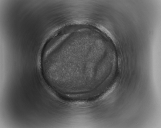 X0000093530581200711091759