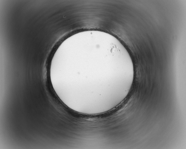 X0000093530584200711091759