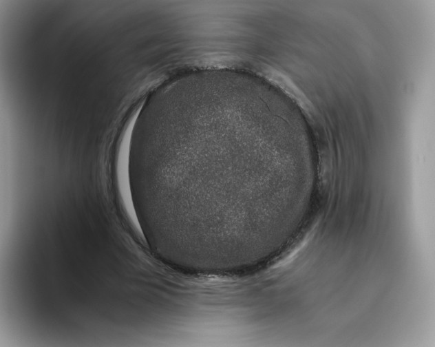 X0000093530585200711091759