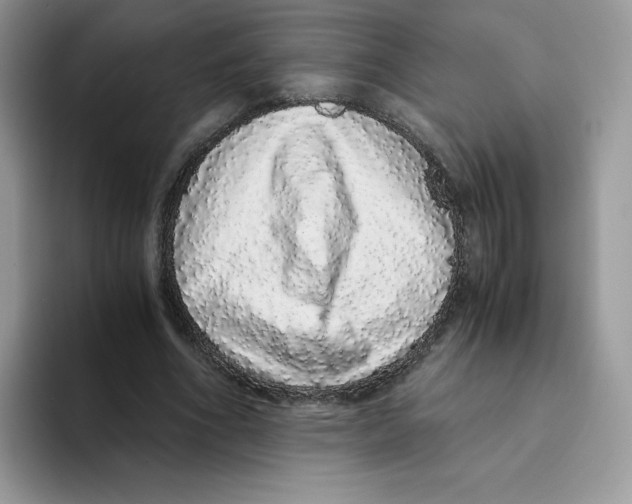 X0000093530586200711091759
