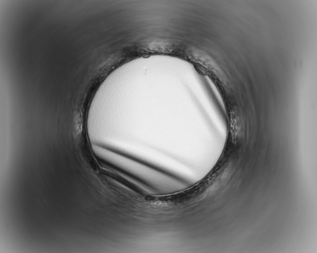 X0000093530593200711091759