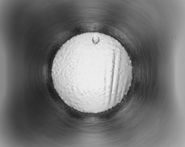 X0000093530594200711091759