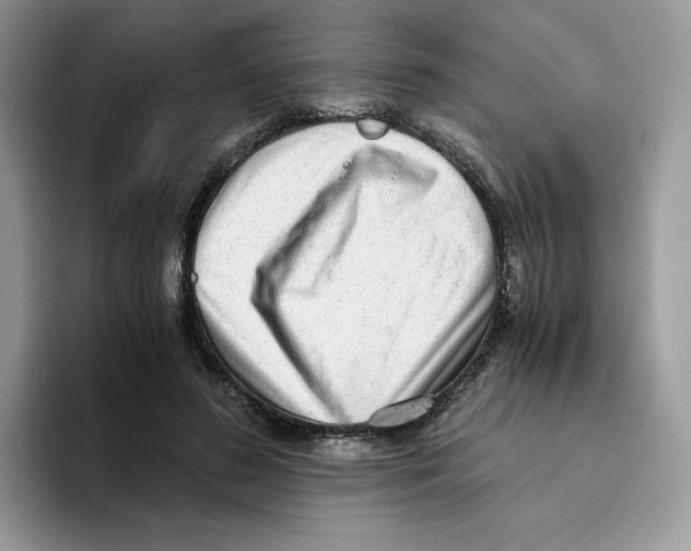 X0000093530596200711091759