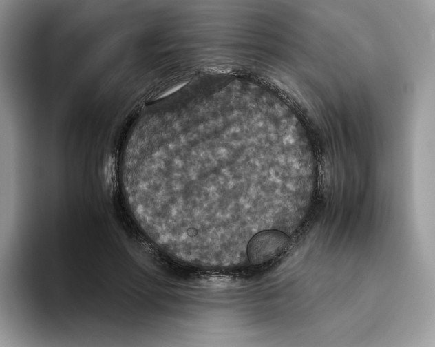 X0000093530598200711091759