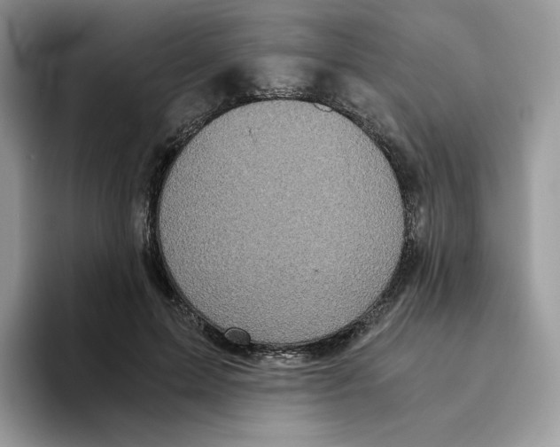 X0000093530599200711091759